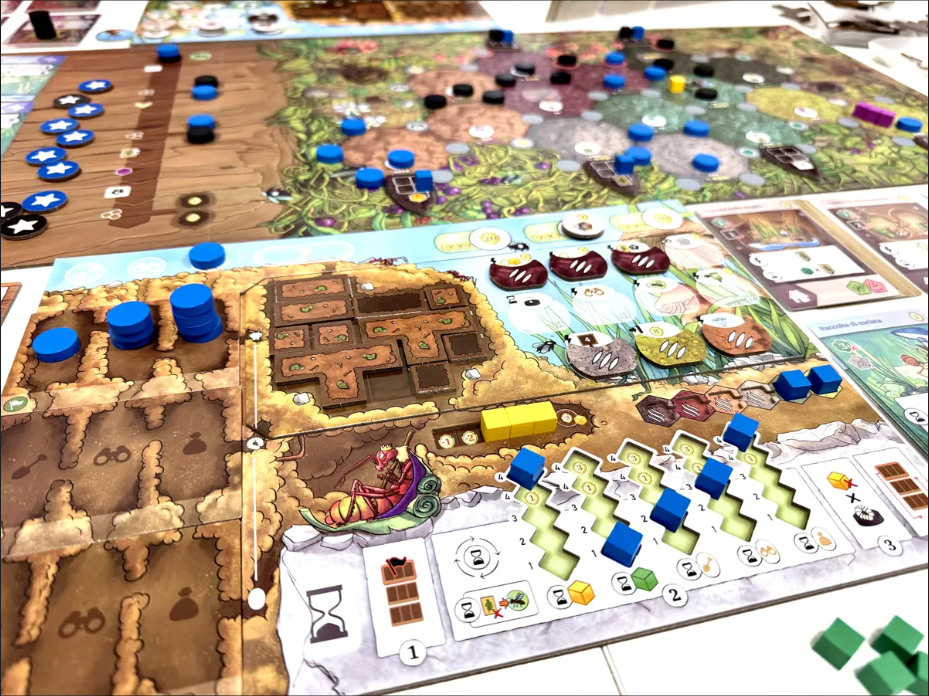 Brettspiel Die Ameisen von Amyra (Deutsche Version)