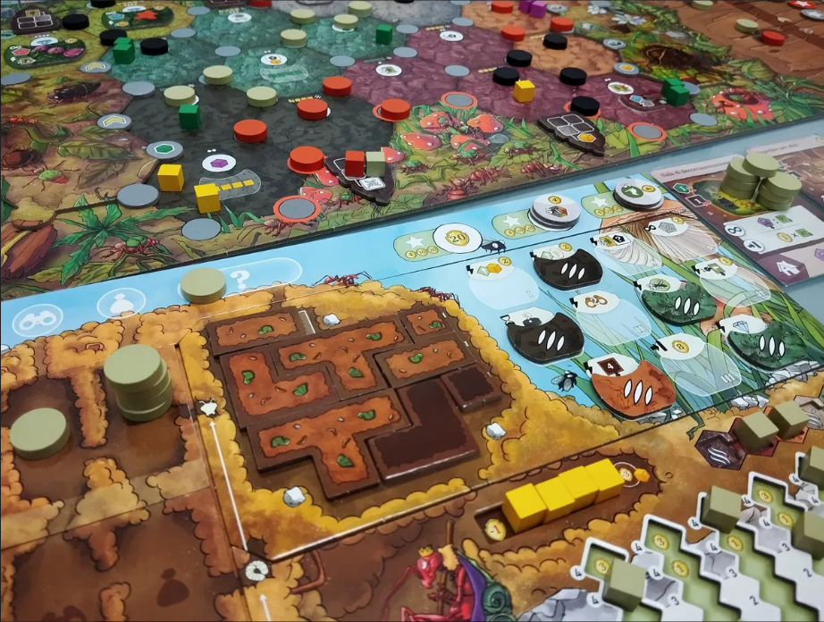 Jeu de société Les Fourmis d'Amyra (Version allemande)