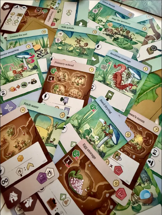 Jeu de société Les Fourmis d'Amyra (Version allemande)