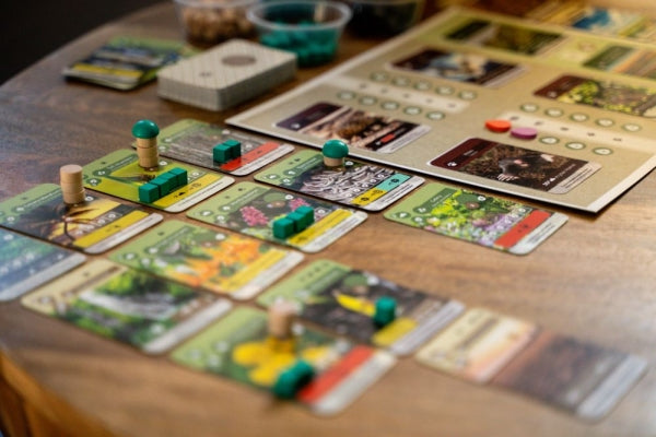 Brettspiel Erde (Deutsche Version)