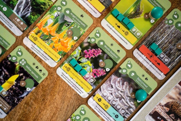 Brettspiel Erde (Deutsche Version)