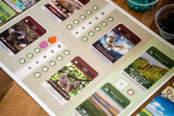 Brettspiel Erde (Deutsche Version)