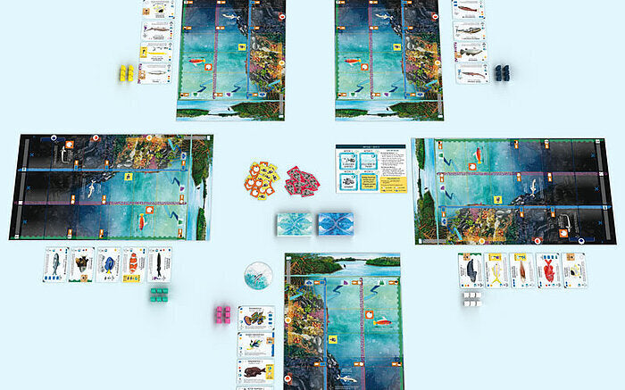 Brettspiel Flossenschlag (Deutsche Version)