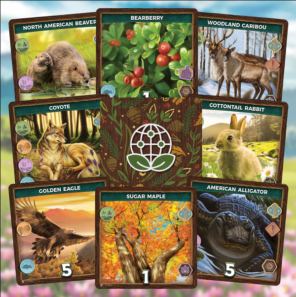 Brettspiel Keystone. North America. Deluxe Edition (Englische Version)