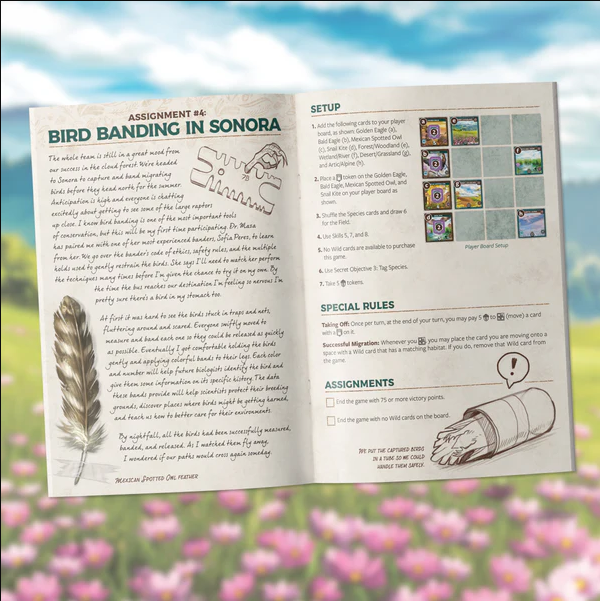 Brettspiel Keystone. North America. Deluxe Edition (Englische Version)