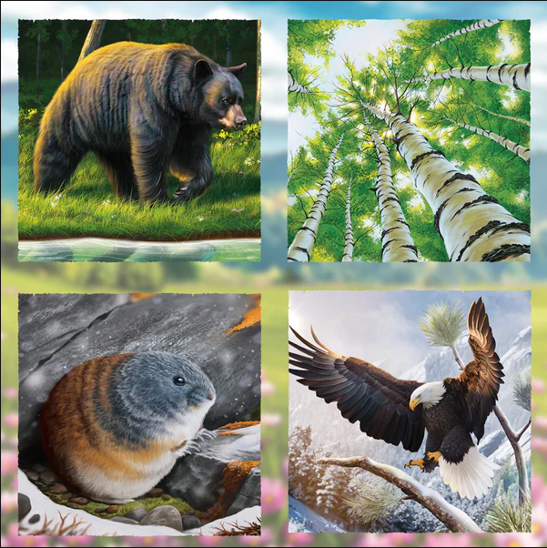 Brettspiel Keystone. North America. Deluxe Edition (Englische Version)