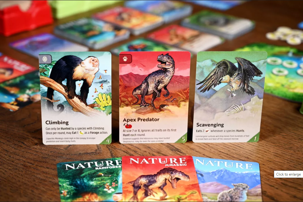 Brettspiel Nature (Englische Version)